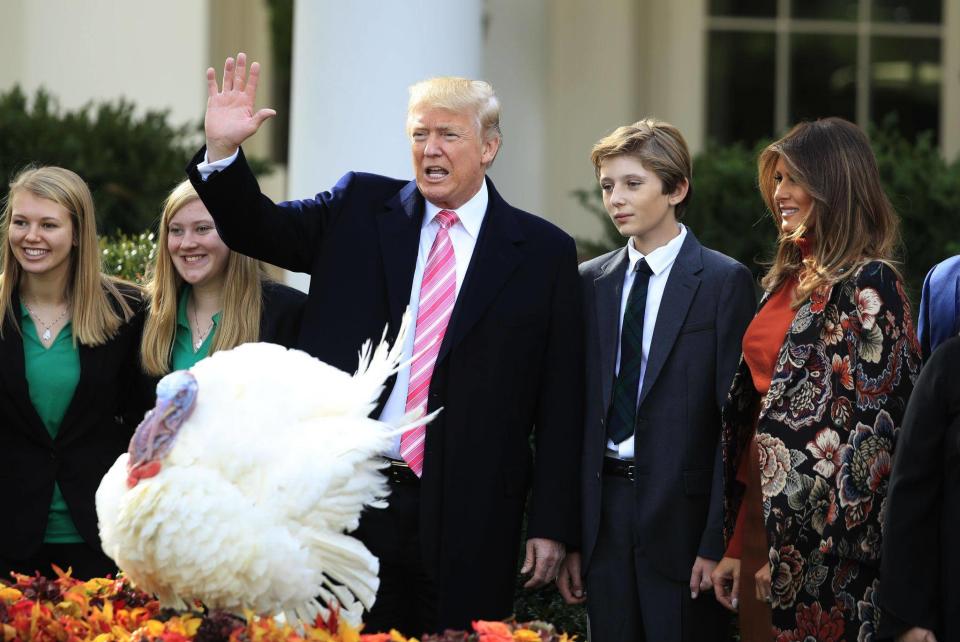 Trump says he can't reverse Obama's turkey pardons: 'Tater and Tot, you can rest easy'