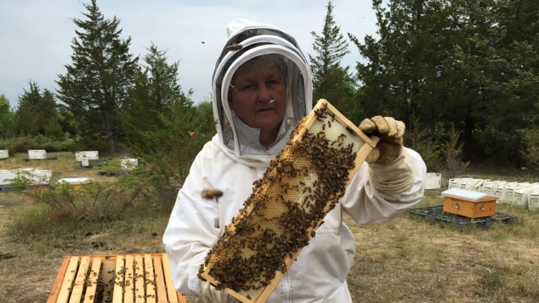 Ontario beekeeper stung by late night hive heist