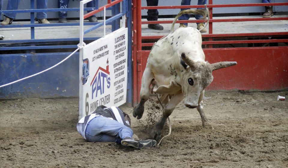 A bull busts out of the gate past an inmate at the Angola Prison Rodeo in Angola, La., Saturday, April 26, 2014. Louisiana’s most violent criminals, many serving life sentences for murder, are the stars of the Angola Prison Rodeo, the nation’s longest-running prison rodeo that this year celebrates 50 years. The event has grown from a small “fun” event for prisoners into big business, with proceeds going into the Louisiana State Penitentiary Inmate Welfare Fund for inmate education and recreational supplies. (AP Photo/Gerald Herbert)