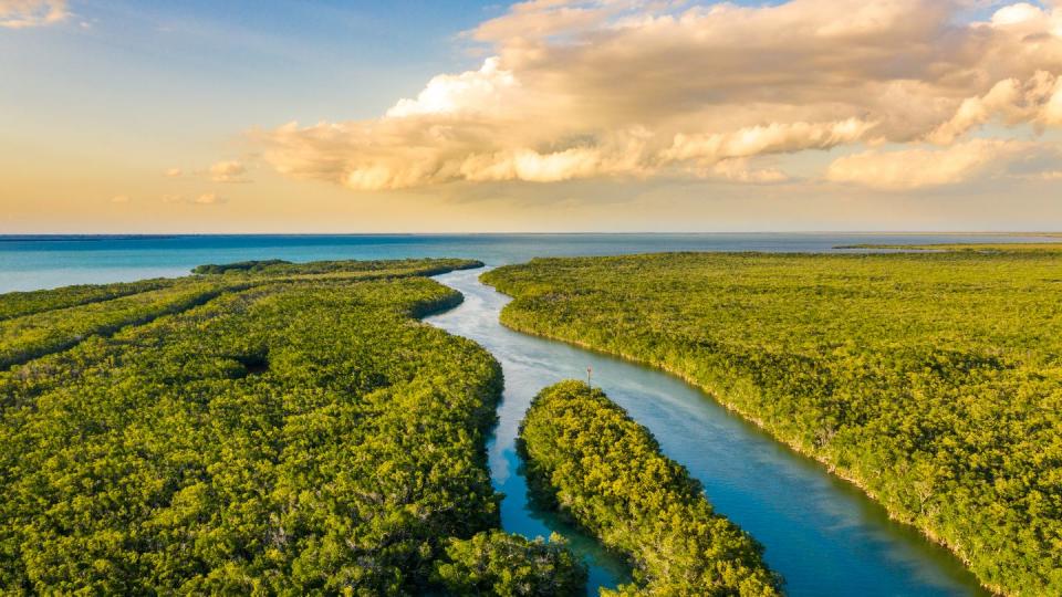 everglades national park, florida