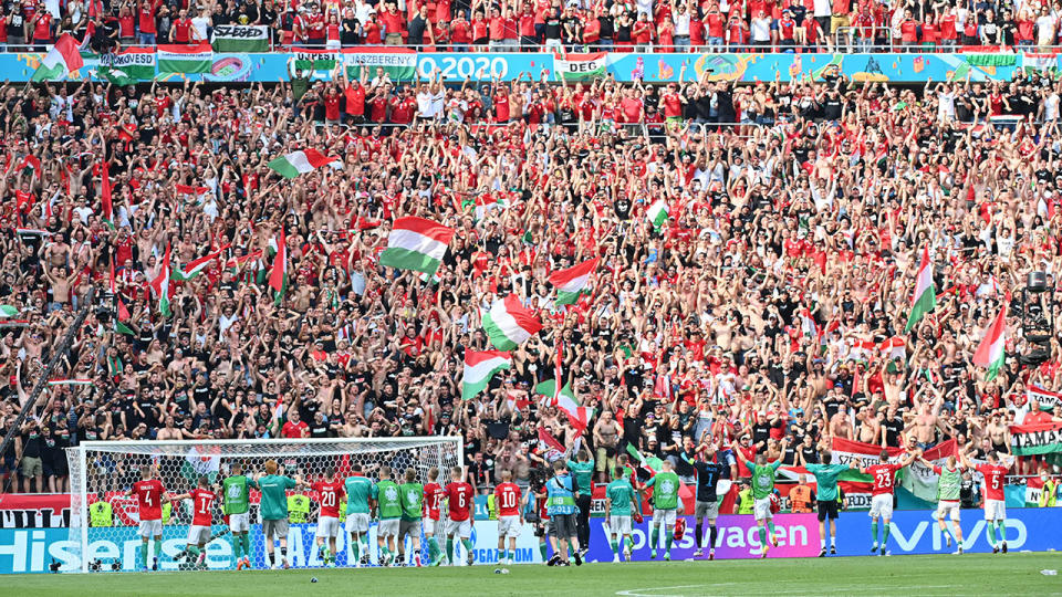 Hungary's players, pictured here celebrating with fans after their 1-1 draw with France.