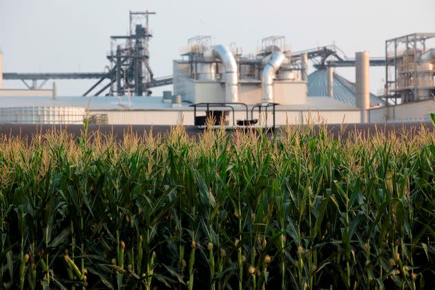 An ethanol refinery in Chancellor, South Dakota. (Photo: via Associated Press)