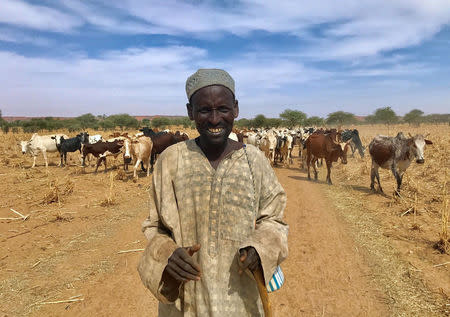 A Fulani cattle herder walks with his cows outside the city of Tillaberi, southwest Niger, about 100km south of the Mali border, Niger November 1, 2017. REUTERS/Stringer