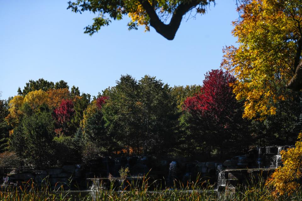 Bright fall colors seen on Thursday, Oct. 8, 2020, at Bay Beach Wildlife Sanctuary waterfall in Green Bay, Wis. 