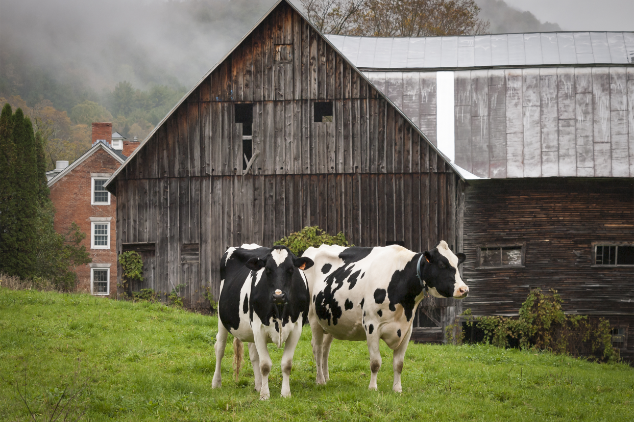 Vermont dairy farm