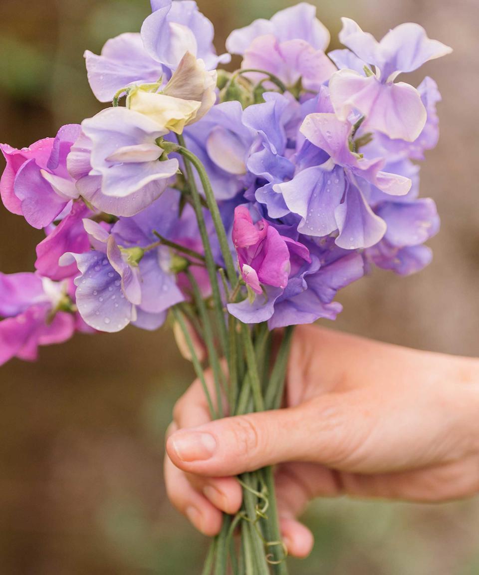 5. Sweet peas