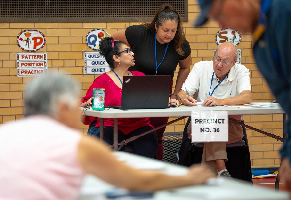 Michigan primary election 2024 updates US Senate race set; looking