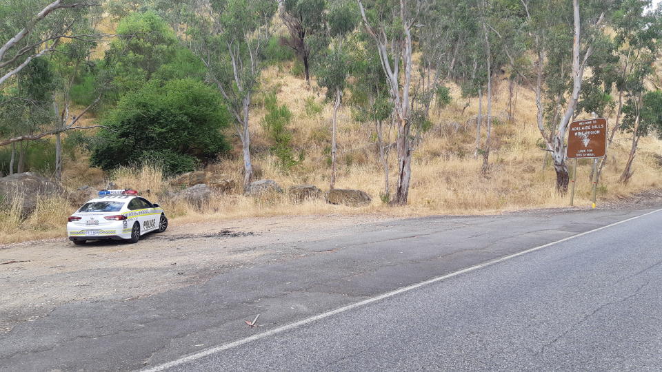 The roadside where the cat was found on at George Road, Millbrook. There is a police car to the left.