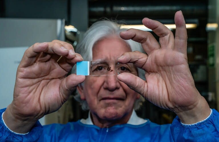 Francisco Lopera, director del Grupo de Neurociencias de la Universidad de Antioquia