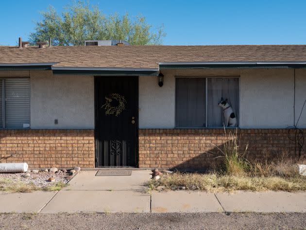 A dog sits in a window at a home in Tucson. (Photo: Molly Peters for HuffPost)