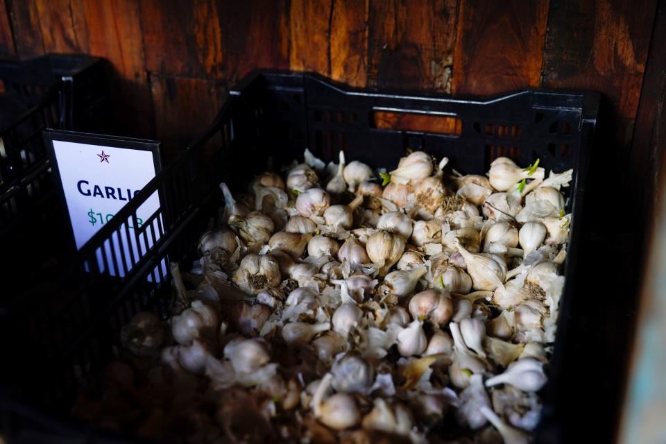 Organic garlic for sale at the farm store, photographed on Tuesday, April 12, 2022.