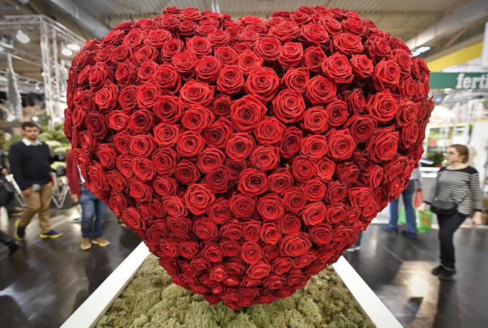 <p>Ein riesiges, aus Rosen gefertigtes Herz ist der Blickfang auf der Internationalen Pflanzenmesse in Essen. (Bild: AP Photo/Martin Meissner) </p>