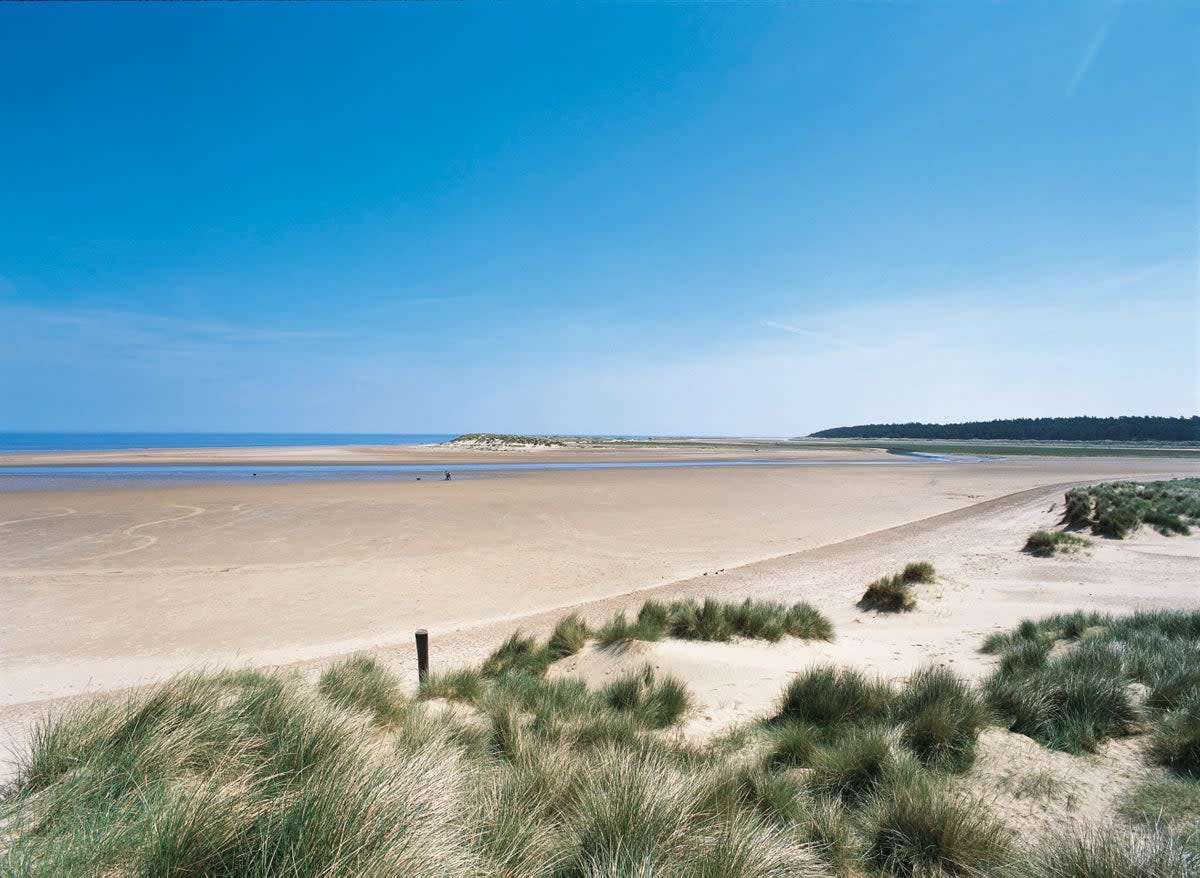 Holkham Beach, Norfolk is the ultimate sandcastle-making destination (Holkham Estate)