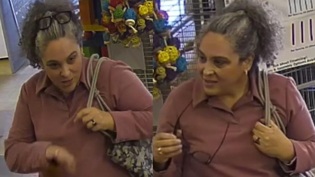 <div>Everything Birds says this woman was caught on surveillance footage stuffing a baby bird in her purse. Courtesy: Everything Birds</div>