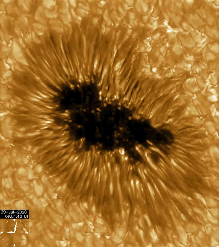 These new close-up images of sunspots look like sandworm mouths from Dune.