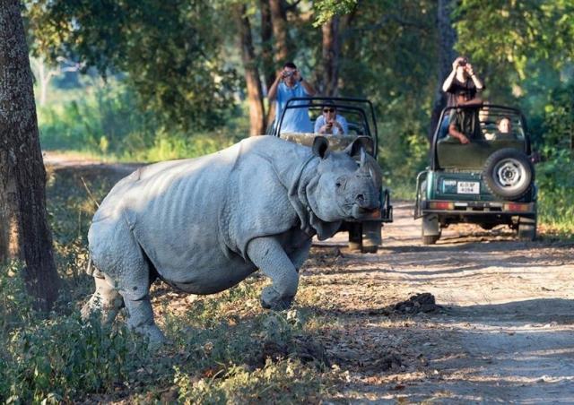 difference between zoo wildlife sanctuary and national park