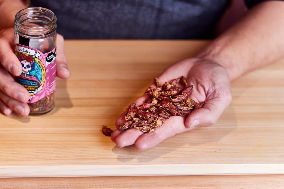 Trang sources his edible insects directly from Mexico (Juno)