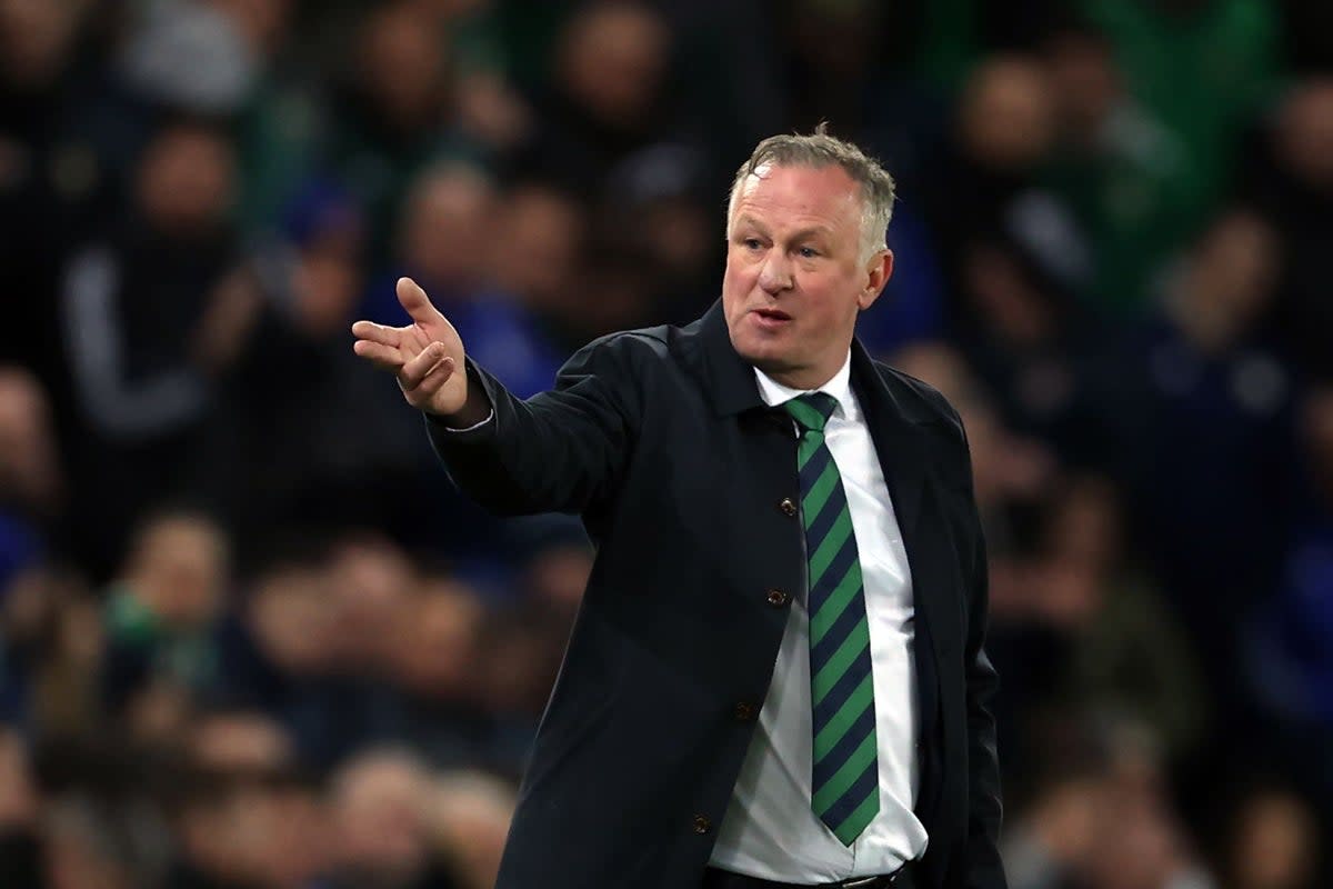 Northern Ireland manager Michael O’Neill saw his side beaten (Liam McBurney/PA) (PA Wire)