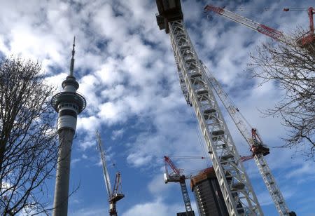 Cranes located on construction sites are seen near the Sky Tower building in central Auckland, New Zealand, June 25, 2017. REUTERS/David Gray