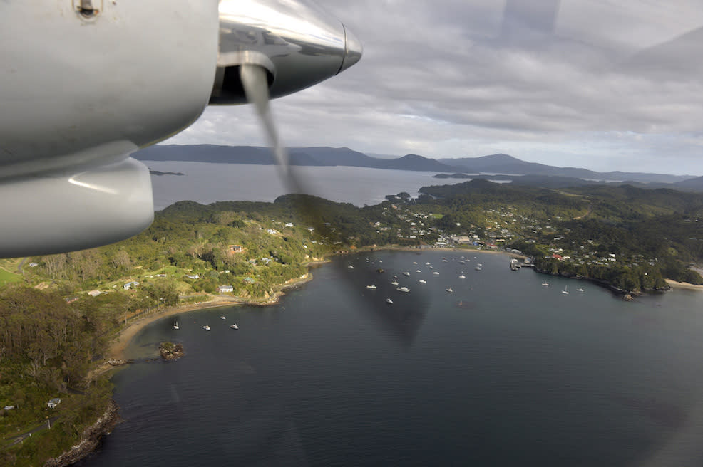 The whales were beached on Stewart Island in New Zealand (Picture: PA)