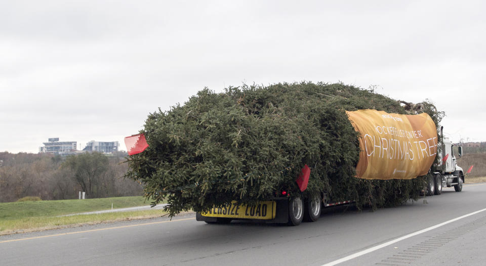 With a banner and a strand of holiday lights, the 75-foot Norway spruce&nbsp;heads off to Rockefeller Center on Nov. 9.