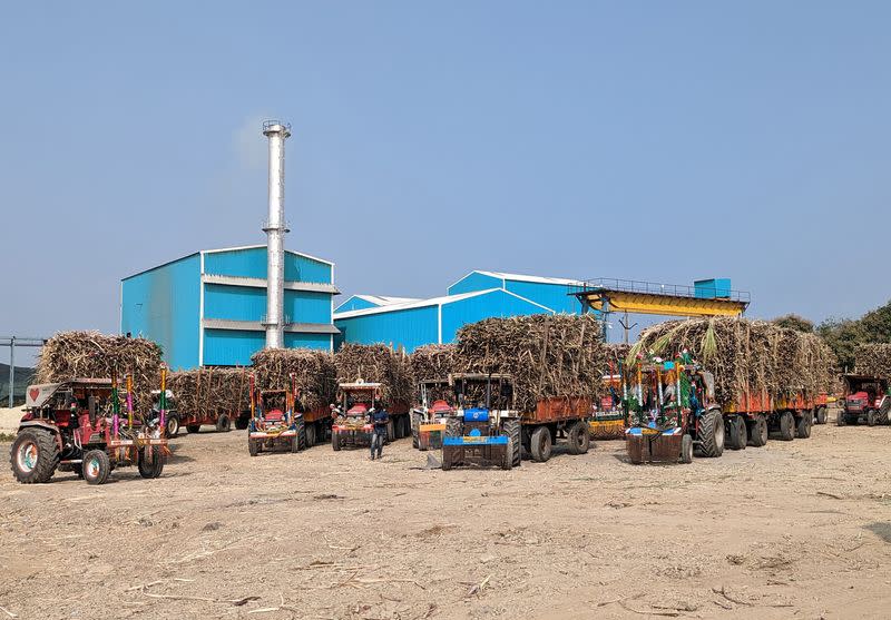 Tractor trollies loaded with harvested sugar cane are parked outside a jaggery making unit in Latur district