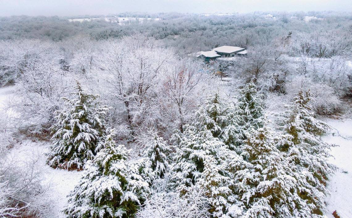 The first accumulation of snow blanketed trees creating a scenic look Tuesday, Nov. 15, 2022, in a neighborhood in western Lenexa..