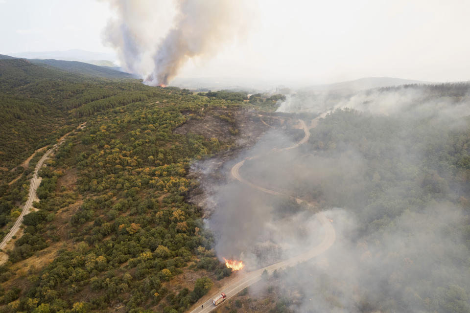 Trees burn as smoke rises during wildfires near the village of Kirkis, near Alexandroupolis town, in the northeastern Evros region, Greece, Wednesday, Aug. 23, 2023. Water-dropping planes from several European countries joined hundreds of firefighters Wednesday battling wildfires raging for days across Greece that have left 20 people dead, while major blazes were also burning in Spain's Tenerife and in northwestern Turkey near the Greek border. (AP Photo/Achilleas Chiras)