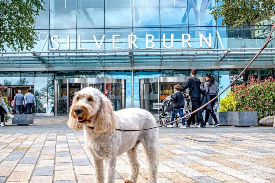 Shopper spots 'dog poo' in Glasgow shopping centre during dog-friendly trial <i>(Image: Archive image. Newsquest.)</i>