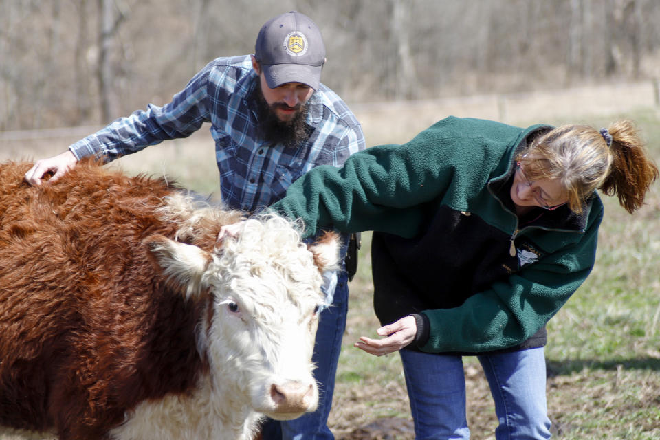 In this Friday, March 13, 2020 photo, Nic Talbott, left, and his mother, Tracy Carlton, check over a cow that recently gave birth on his grandmothers farm in Lisbon, Ohio. Talbott is a plaintiff in one of four lawsuits filed in federal courts challenging a Trump administration policy barring transgender Americans from enlisting in the military. (AP Photo/Keith Srakocic)