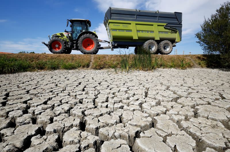 FILE PHOTO: Drought in France