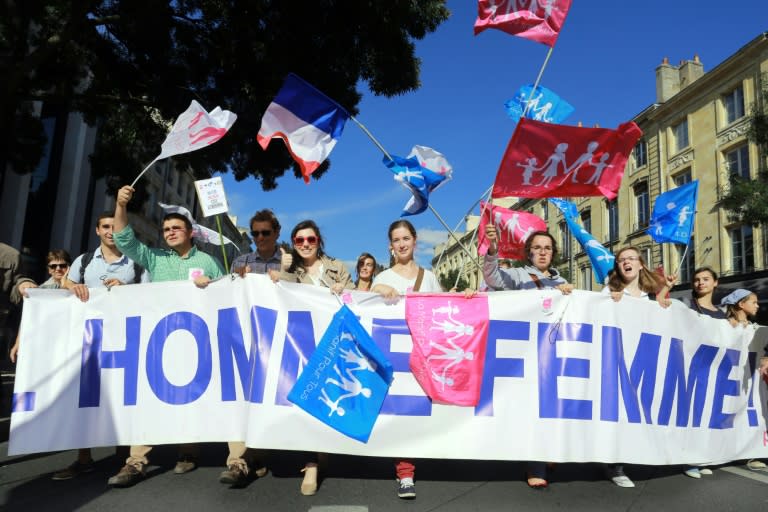 Supporters of the anti-gay marriage "La Manif Pour Tous" (Protest for Everyone) movement march against medically assisted procreation techniques for lesbian couples and surrogacy, in Bordeaux, France on October 5, 2014