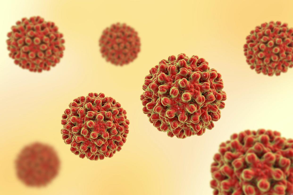 Ilustración del virus de la hepatitis B. <a href="https://www.shutterstock.com/es/image-illustration/hepatitis-b-viruses-on-colorful-background-663568408" rel="nofollow noopener" target="_blank" data-ylk="slk:Kateryna Kon / Shutterstock;elm:context_link;itc:0;sec:content-canvas" class="link ">Kateryna Kon / Shutterstock</a>