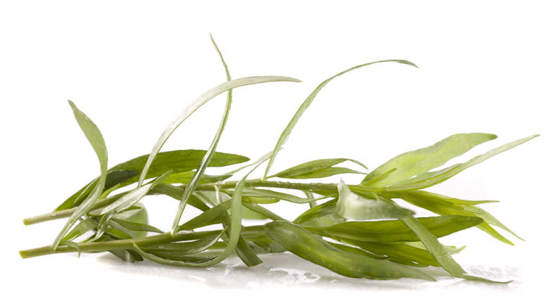 Tarragon leaves on surface