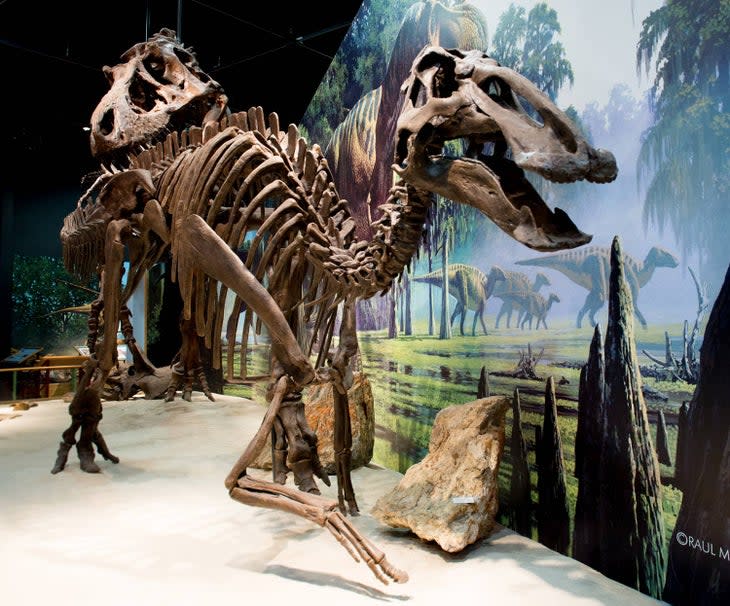 Dinosaur Exhibit at the Fort Peck Interpretative Center and Museum