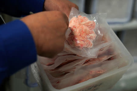 Dr. Vahram Haroutunian holds a frozen slice of a human brain in a brain bank in the Bronx borough of New York City, New York, U.S. June 28, 2017. REUTERS/Carlo Allegri