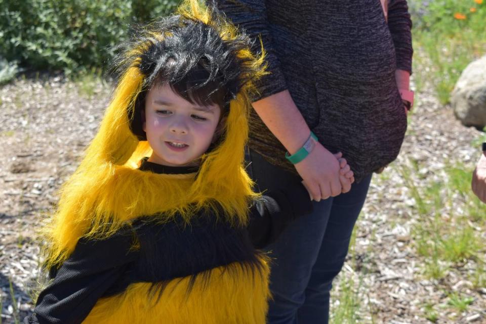 If Fuzzy Wuzzy was a bee, he would be Michael Lambert, 4. Michael was among the costume parade participants at the first Modesto Pollinator Festival in the La Loma Native Garden on Encina Avenue in Modesto on Sunday, April 7, 2019.