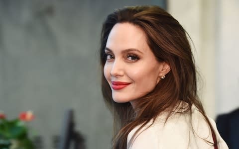 Angelina Jolie has lent her support to the Commonwealth Canopy - Credit: Getty