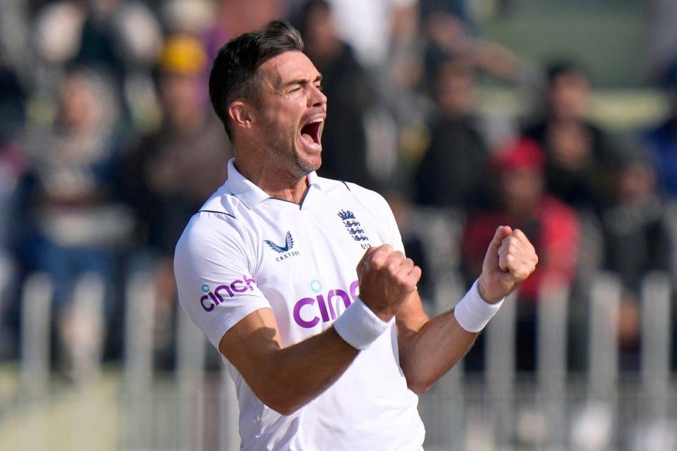 James Anderson believes Australia will try and come back hard at England when the sides meet in the Ashes next summer (Anjum Naveed/AP) (AP)