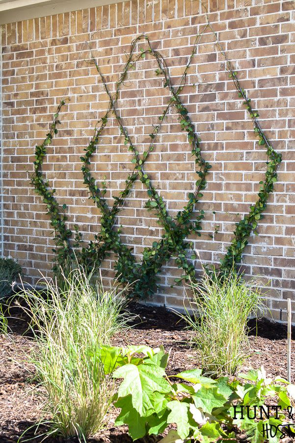 diy trellis ideas