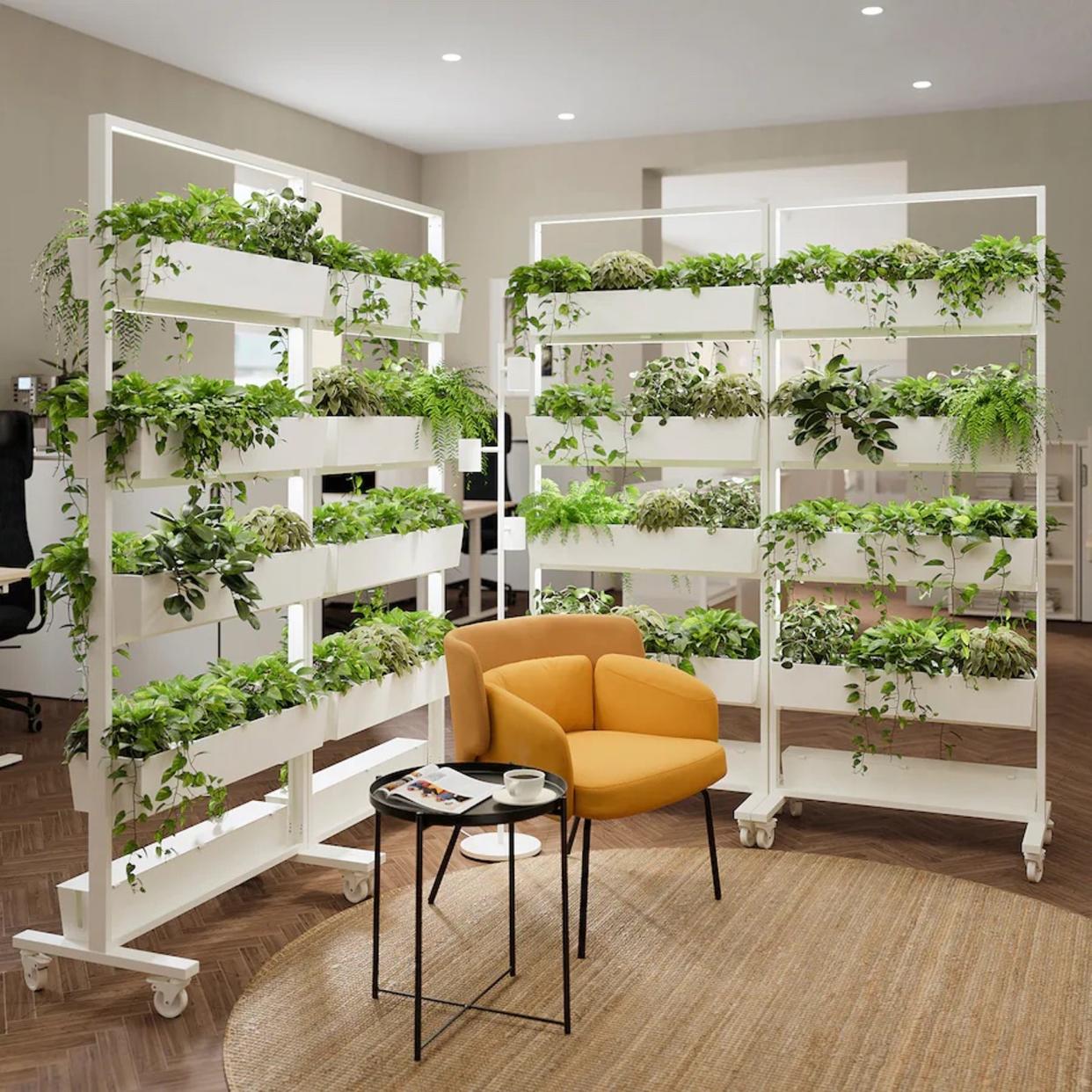  IKEA MITTZON frame in a space with plants on them. 