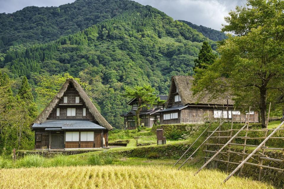 a couple of houses in a grassy field with trees and mountains in the background