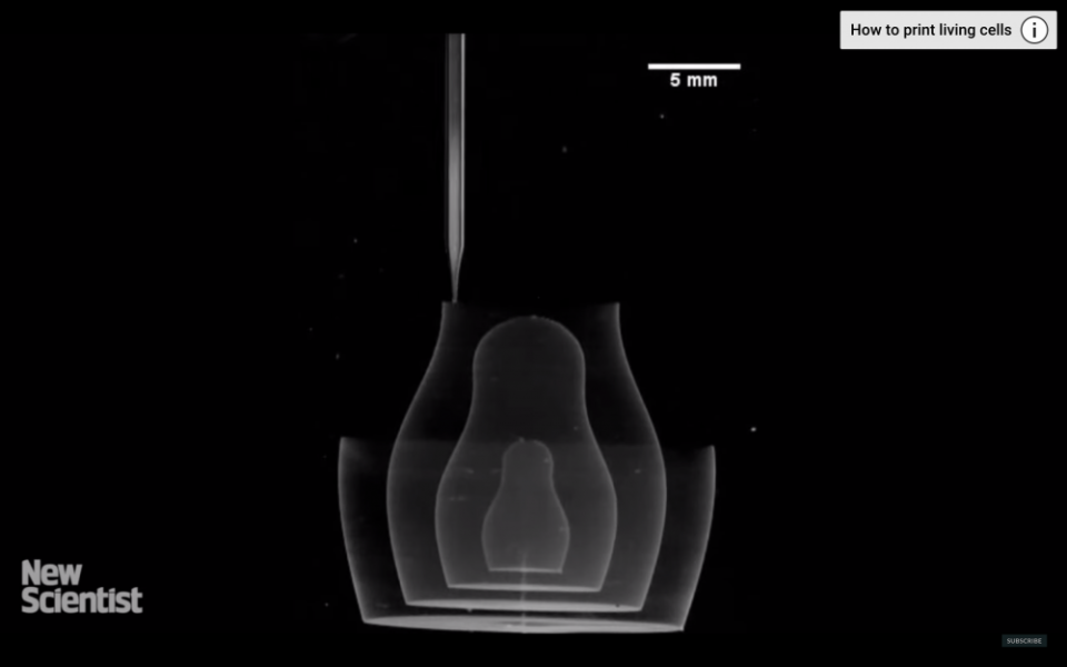 3D 打印技術不斷進步，人造器官還會遠嗎？