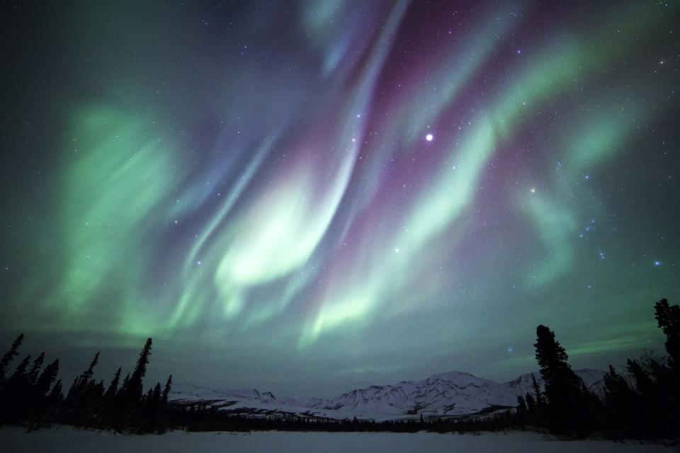 Denali National Park, Alaska