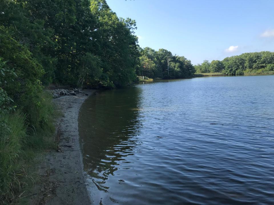 A view down the east side of the Narrow River from a narrow beach where Girl Scouts once swam at King Preserve in North Kingstown.