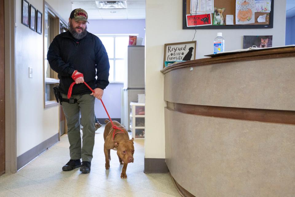 Maury County Animal Shelter Director Jack Cooper takes a shelter dog named Rebel out for a walk at the shelter’s adoption center in Columbia, Tenn., on Friday, Jan. 28, 2022.