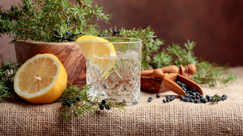 Gin with lemon and juniper berries