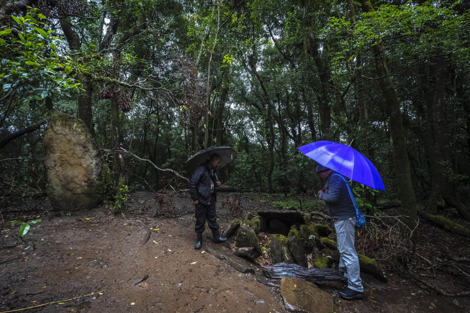 Tambor Lyngdoh, right, who is the chief caretaker of the Mawphlang sacred forest in Meghalaya, India, stands near sacred stones Friday, Sept. 8, 2023. Such sacred stones in these revered woodlands have been the recipients of chants, songs and prayers for centuries. (AP Photo/Anupam Nath)