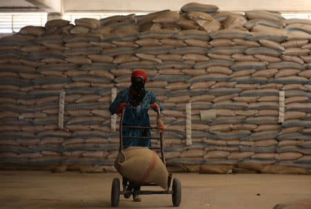 A woman pushes a cart loaded with a sack of wheat in Qamishli, Syria September 18, 2017. Picture taken September 18, 2017. REUTERS/Rodi Said