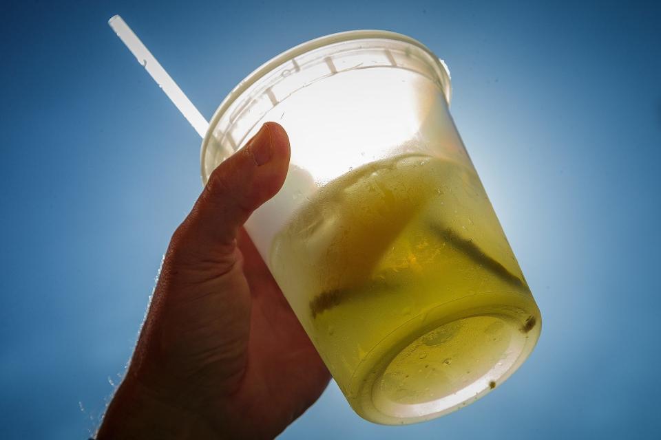 The Dill Pickle Lemonade at the Lemonade Stand was sweet, sour, tart, even a bit salty and fantastic.